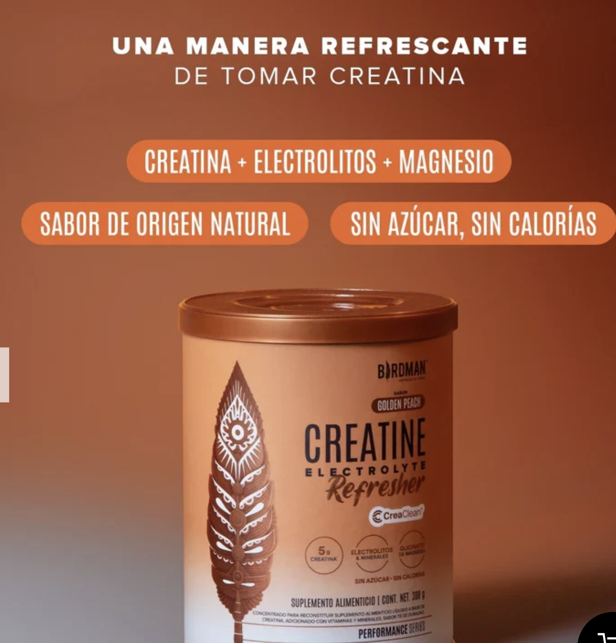 Creatine Refreshers Birdman Golden Peach 300 gr foto 3